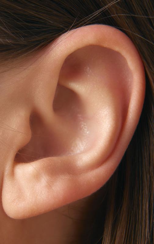 Northwood Hospital - Ear surgery Procedure Overview