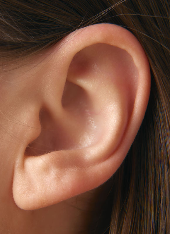 Northwood Hospital - Ear surgery Procedure Overview