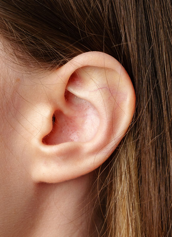 Northwood Hospital - Ear surgery The Procedure